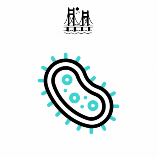 Mold Remediation Services in San Francisco, CA